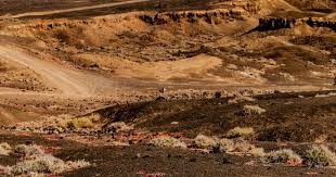 懂球帝12周年120大瞬间决赛：梅西捧大力神杯PK武磊绝平巴萨